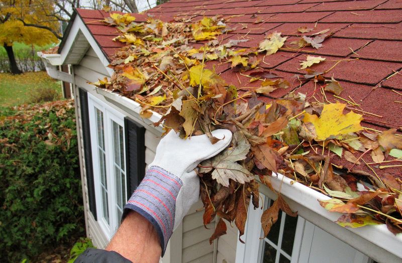 Asphalt Shingles Cleaning