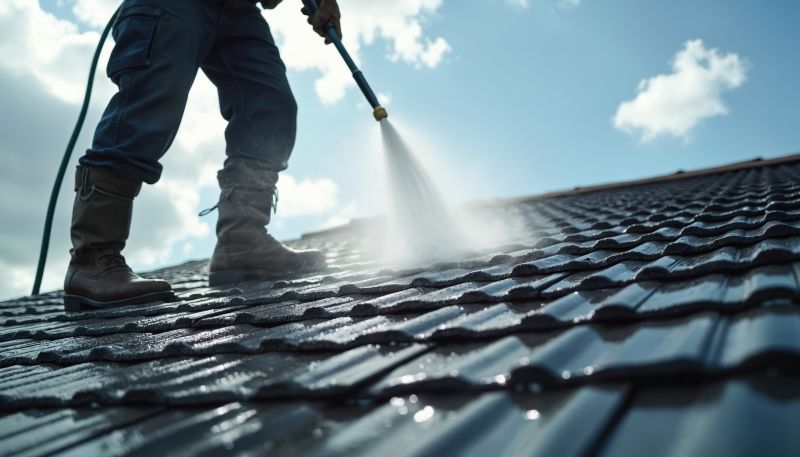Roof Maintenance And Roof Cleaning